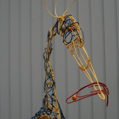 Carol Nichol