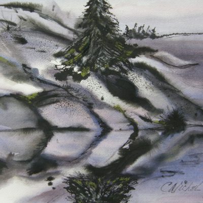 Carol Nichol